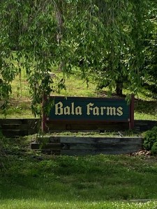 A sign for Bala farms